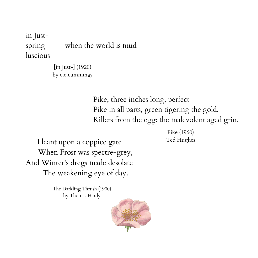 the weight of words