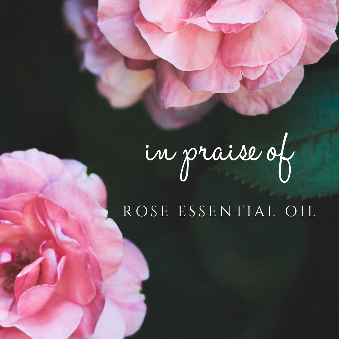 mini-post: in praise of rose essential oil