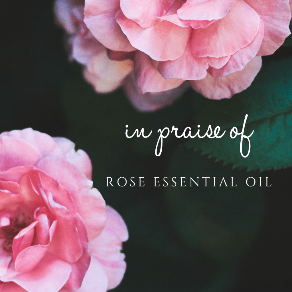 mini-post: in praise of rose essential&nbsp;oil